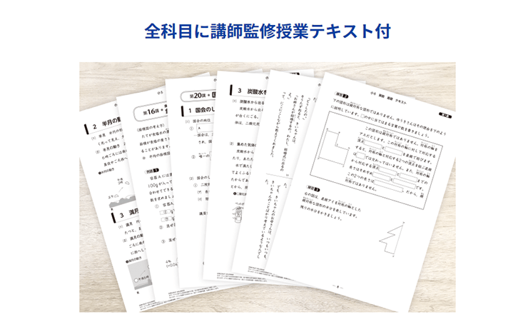 スタディサプリ 小学講座公式サイトの挿入画像